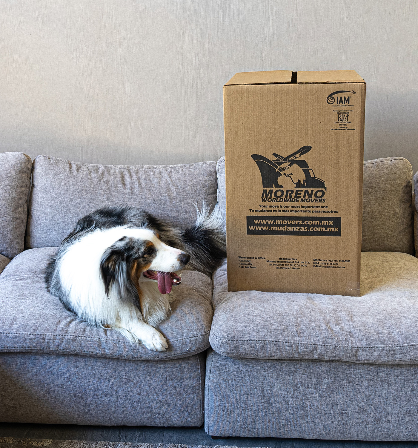 Mudanzas Internacionales y Nacionales en México