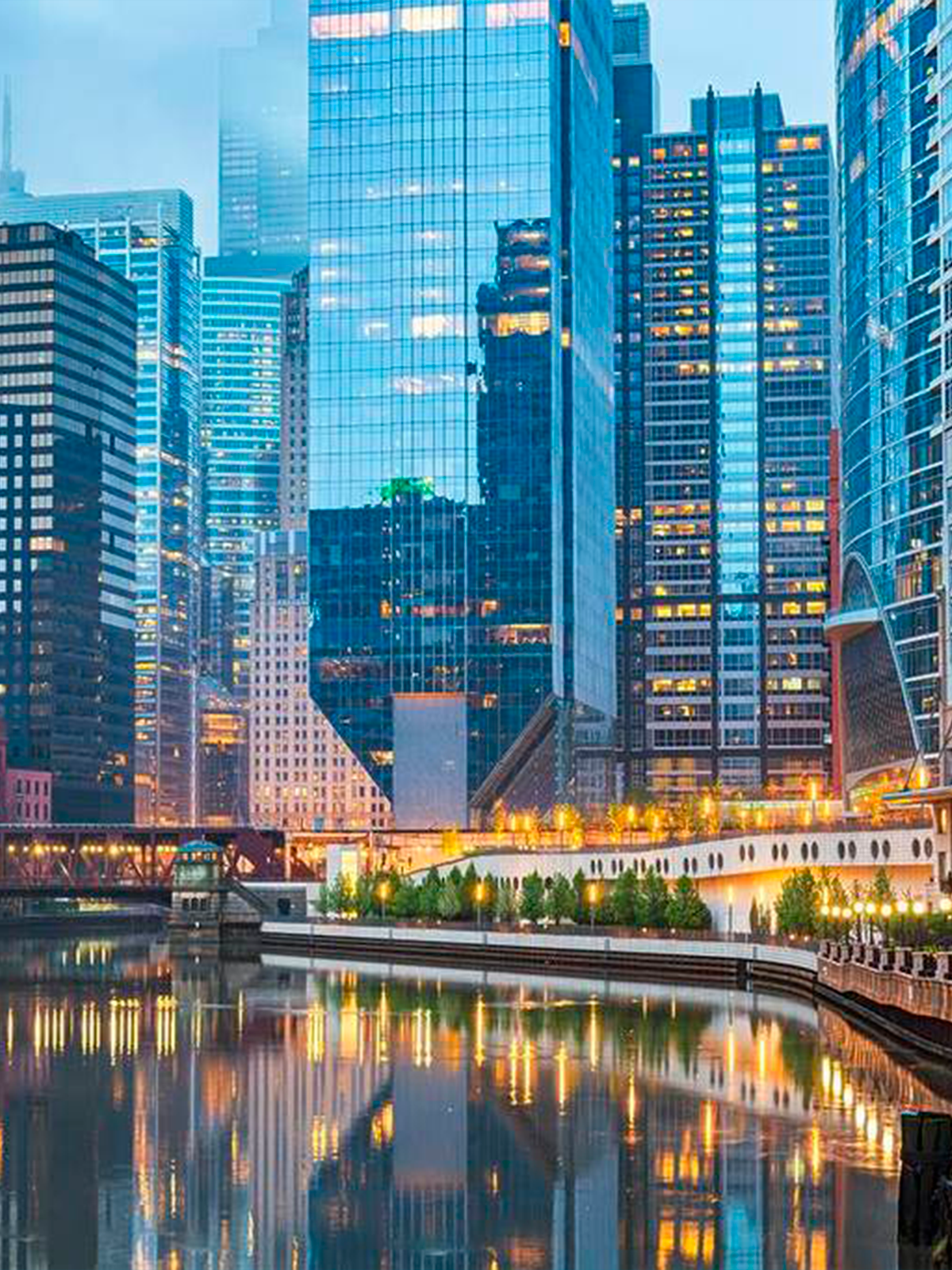 Mudanza internacional chicago