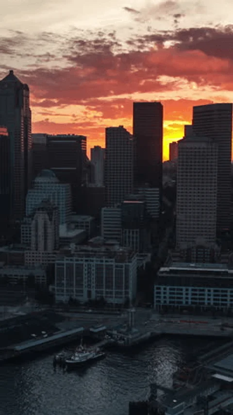 Mudanzas Internacionales Seattle