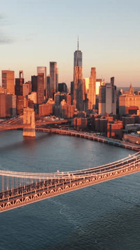 Mudanzas Internacionales New York